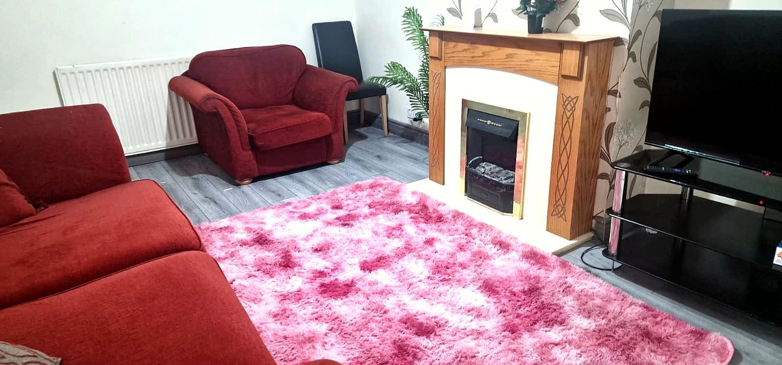 Lounge with armchair, fireplace and television